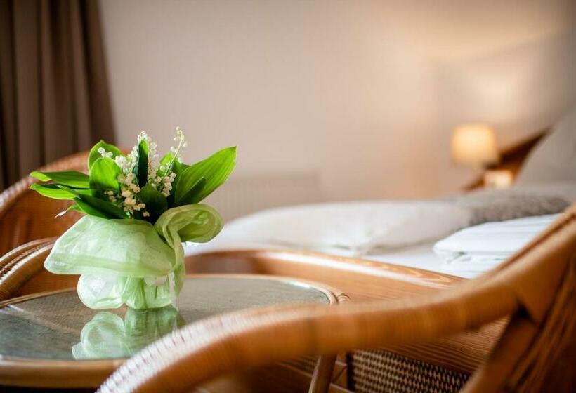 스탠다드 발코니 룸, Irmgard