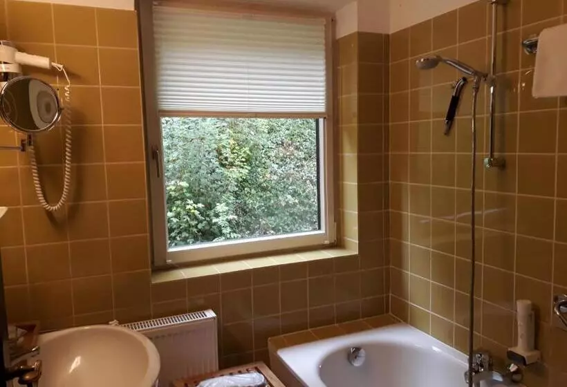スタンダードルーム, Naturidyll Hotel Hammerschmiede