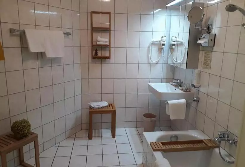 スタンダードシングルルーム, Naturidyll Hotel Hammerschmiede