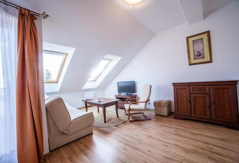 标准单人间, Olymp