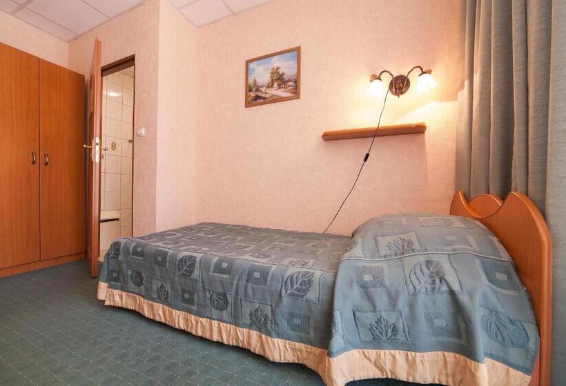 스탠다드 싱글 룸, Pensjonat Henryk