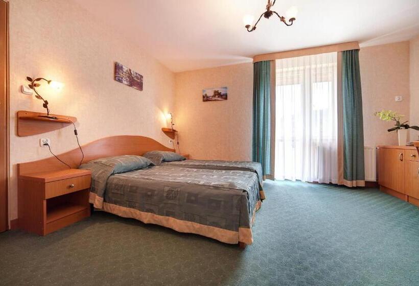 스탠다드 룸, Pensjonat Henryk