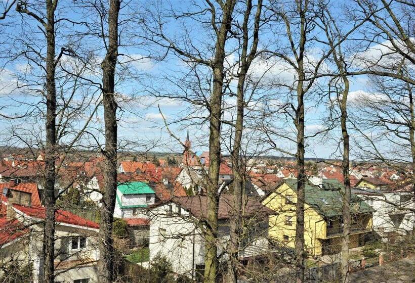 スタンダードルーム, Protea Bolesławiec