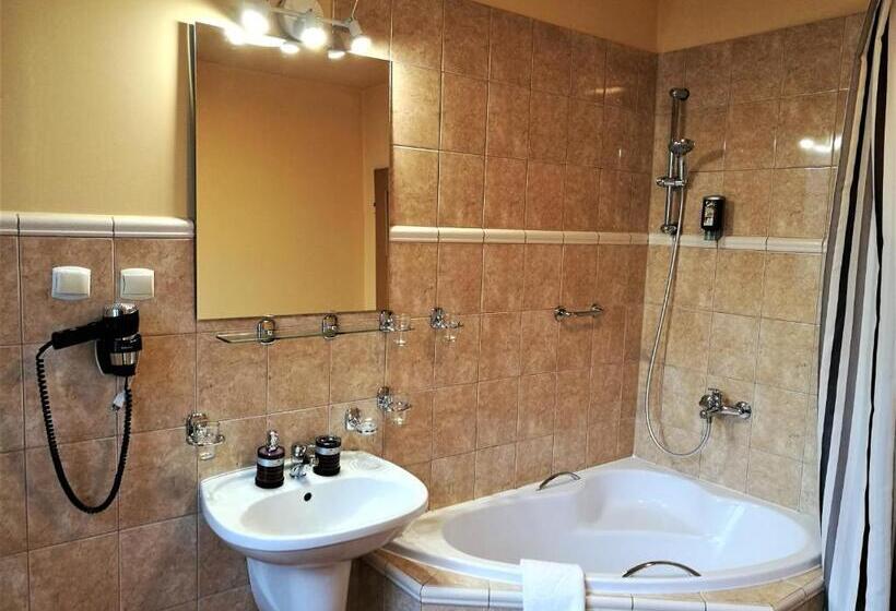 デラックスルーム, Protea Bolesławiec