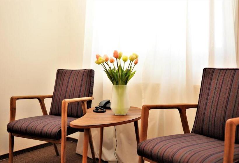 デラックスルーム, Protea Bolesławiec