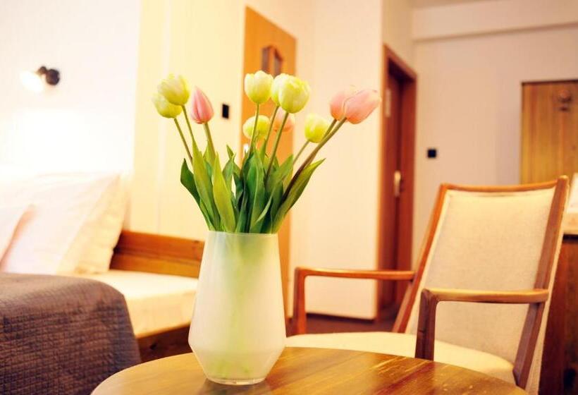 スーペリアシングルルーム, Protea Bolesławiec