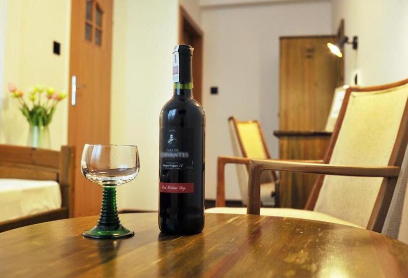 スーペリアシングルルーム, Protea Bolesławiec