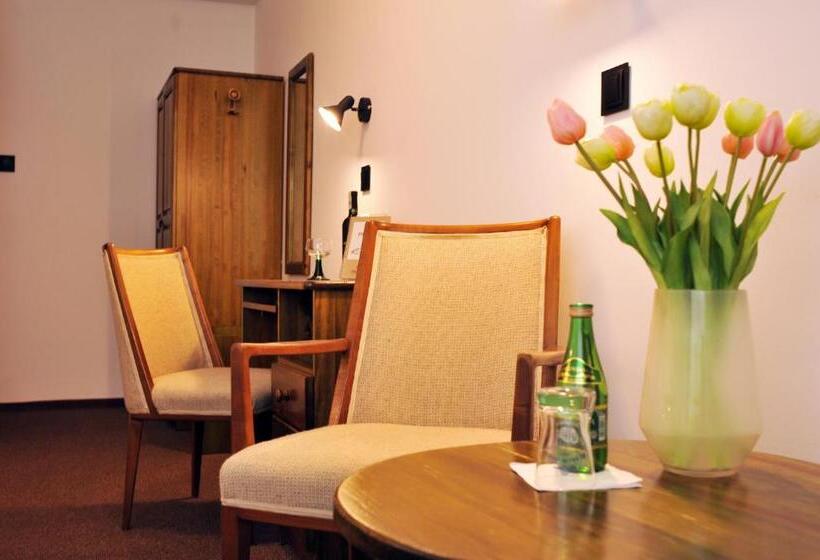 スーペリアシングルルーム, Protea Bolesławiec