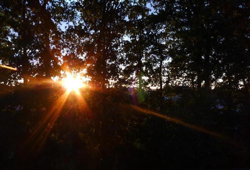 トリプルクラシックルーム, Protea Bolesławiec