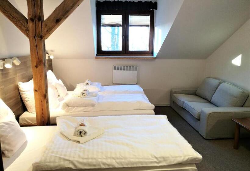 トリプルクラシックルーム, Protea Bolesławiec