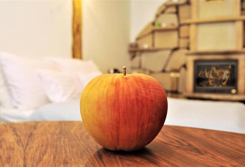 デラックスルーム, Protea Bolesławiec