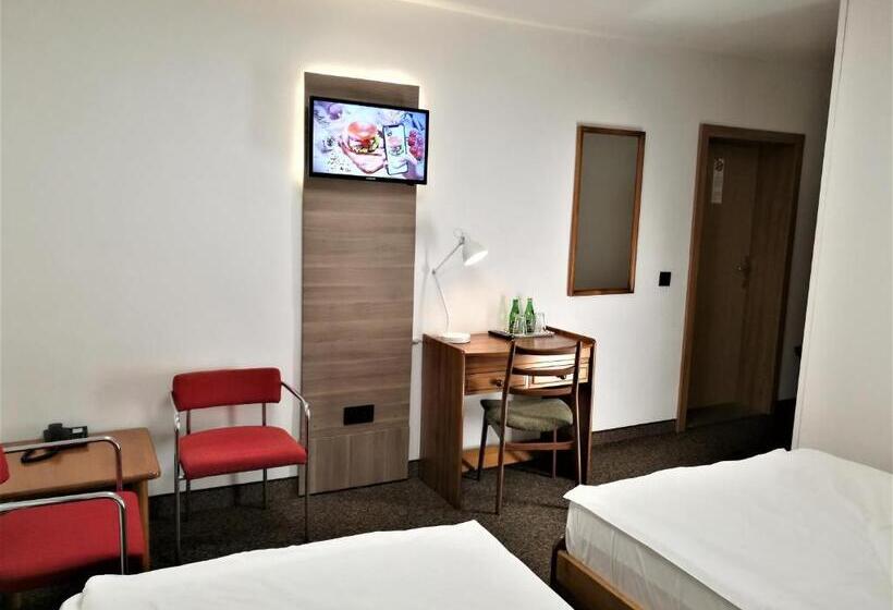 キングサイズベッドのスタンダードルーム, Protea Bolesławiec