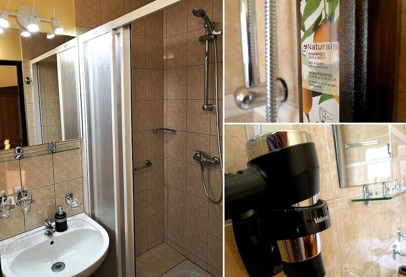 スーペリアシングルルーム, Protea Bolesławiec