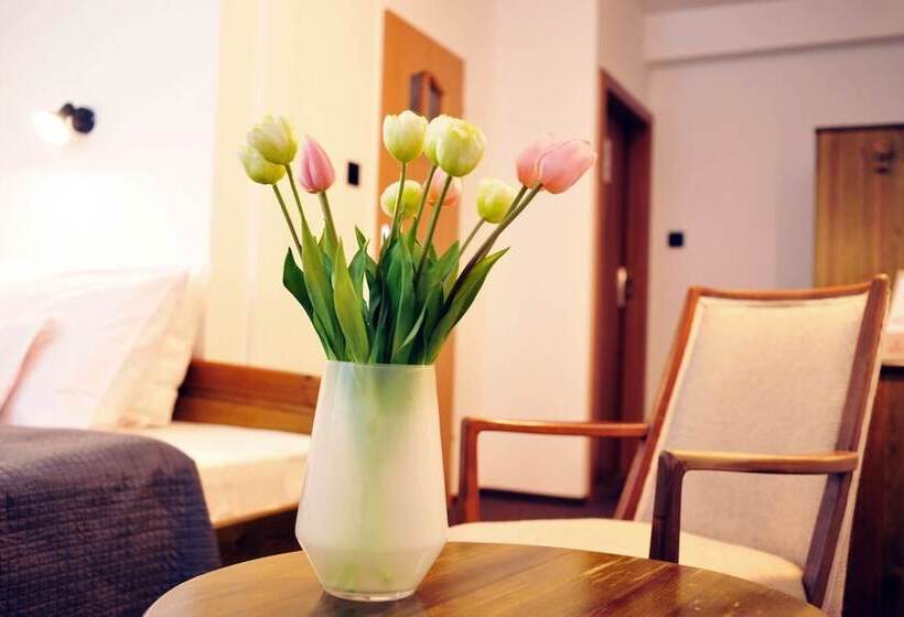 スーペリアシングルルーム, Protea Bolesławiec