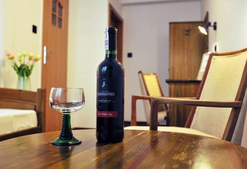 スーペリアシングルルーム, Protea Bolesławiec