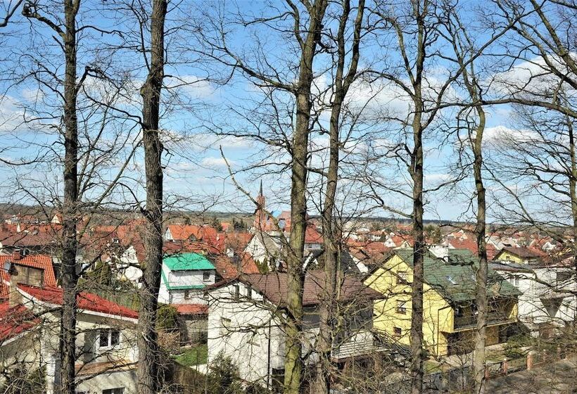 デラックスルーム, Protea Bolesławiec