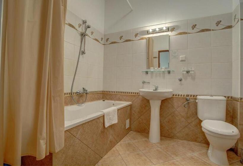 스탠다드 싱글 룸, Przy Oślej Bramie Zamek Książ