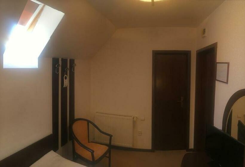 标准单人间, Rubin