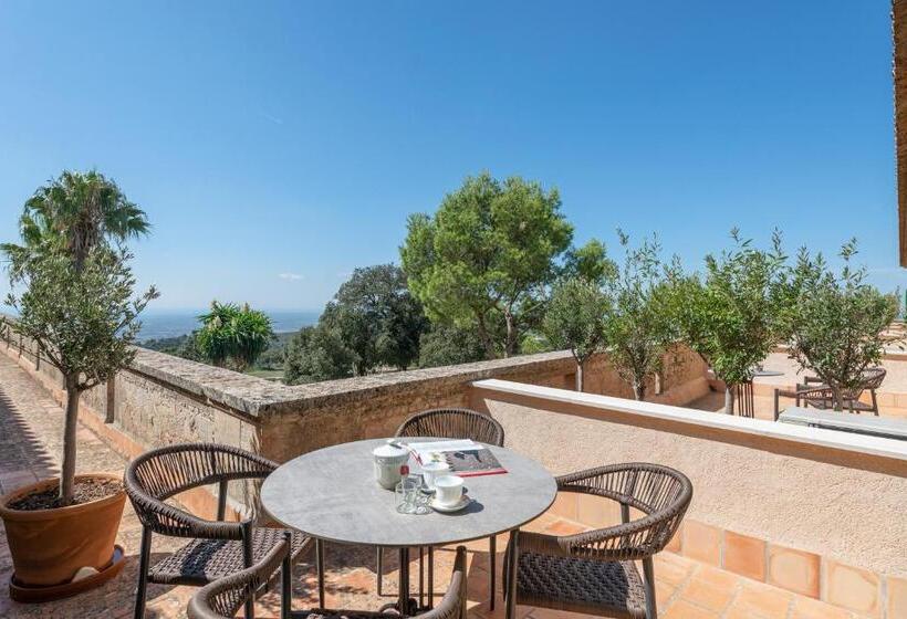 스탠다드 스튜디오, Santuari De Cura