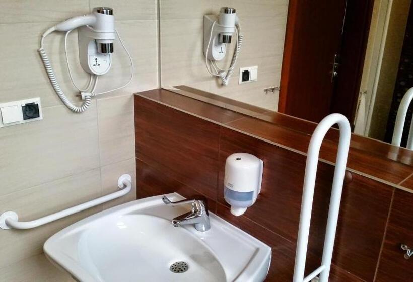 身障者適用スタンダードルーム, Trojka