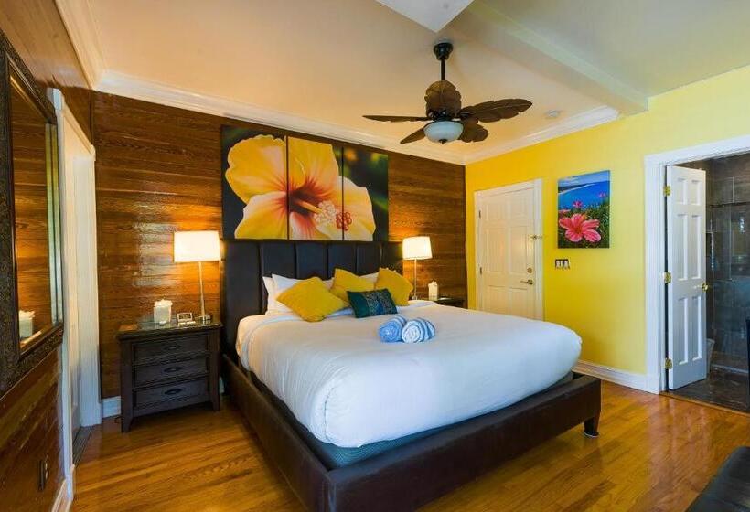 스탠다드 룸 킹사이즈 침대, Duval Inn   Key West