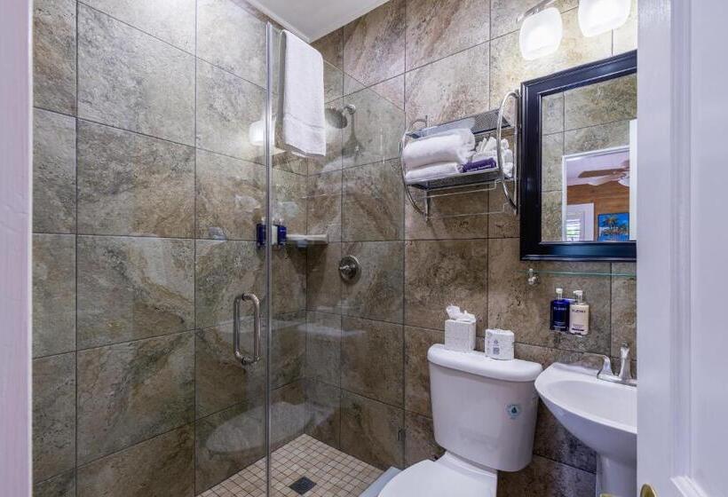 스탠다드 룸 킹사이즈 침대, Duval Inn   Key West