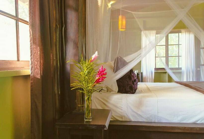 سوئیت 2 خوابه, Island Plantation