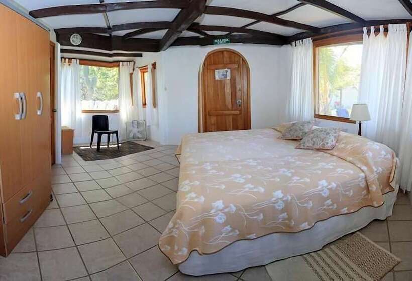 اتاق استاندارد, Jean's Home