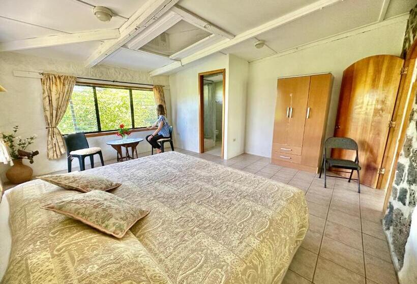 اتاق استاندارد با تخت بزرگ, Jean's Home