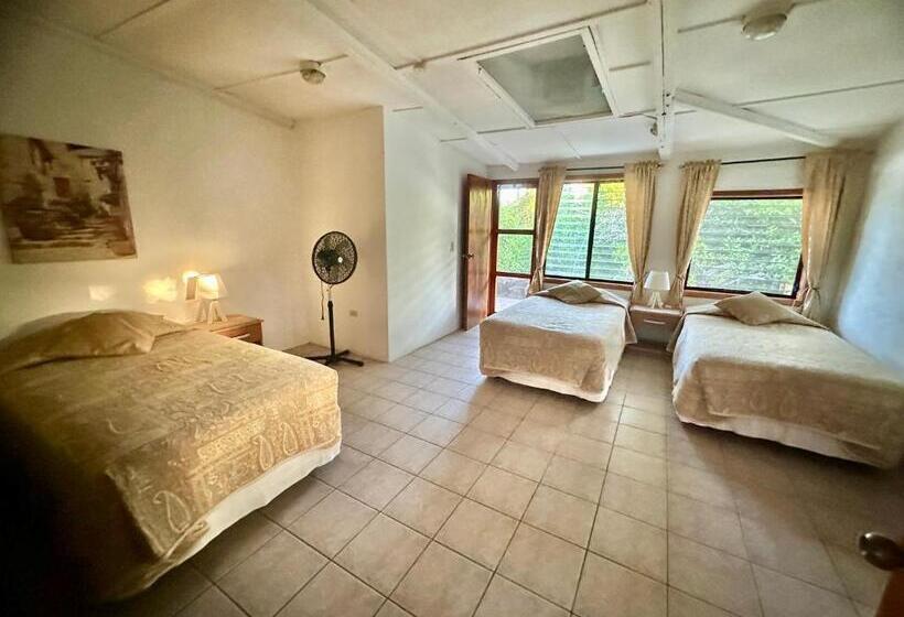 اتاق استاندارد سه تخته با چشم‌انداز باغ, Jean's Home
