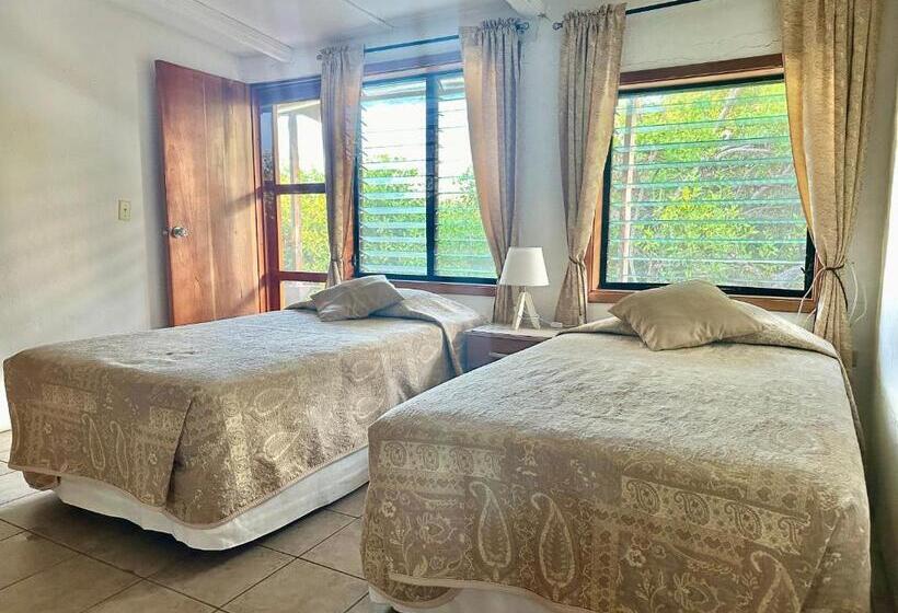 اتاق استاندارد سه تخته با چشمانداز باغ, Jean's Home