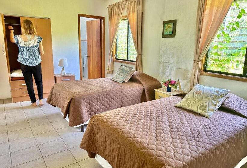 اتاق استاندارد با چشم‌انداز باغ, Jean's Home