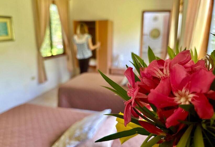 اتاق استاندارد با چشمانداز باغ, Jean's Home