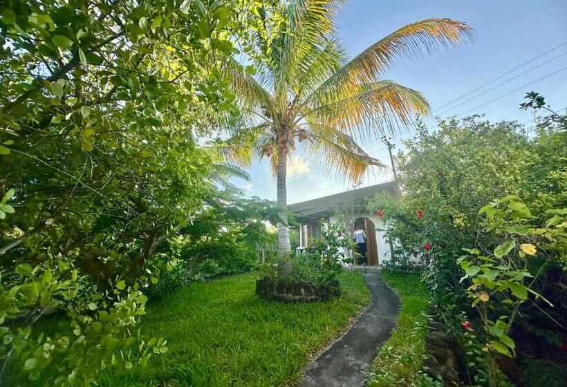 اتاق استاندارد, Jean's Home