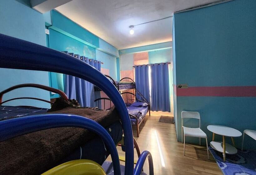 家庭间, Kupi Kupi & Stay