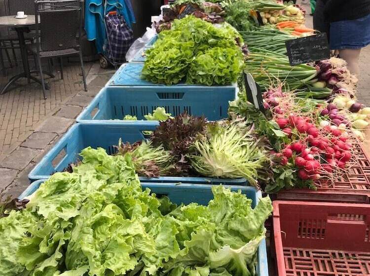 套房带园景, Villa Castel Chambres D Hôtes B&b