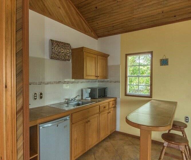 اتاق پنت هاوس, Wikkid Resort