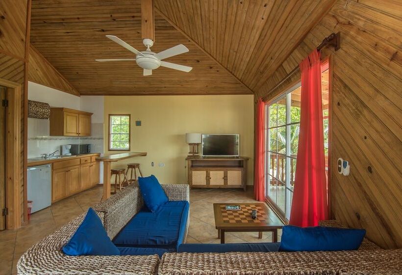 اتاق پنت هاوس, Wikkid Resort