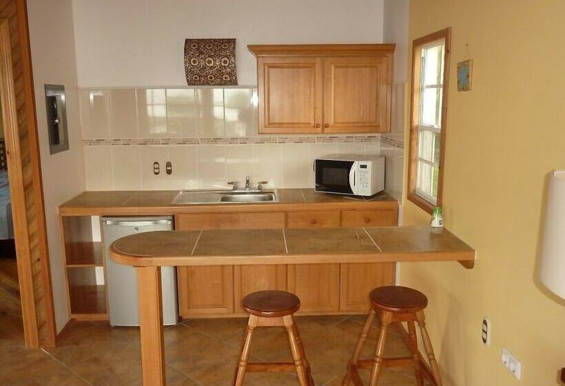 اتاق پنت هاوس, Wikkid Resort