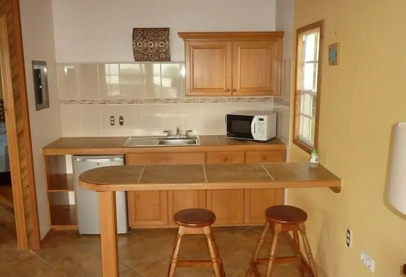 اتاق پنت هاوس, Wikkid Resort