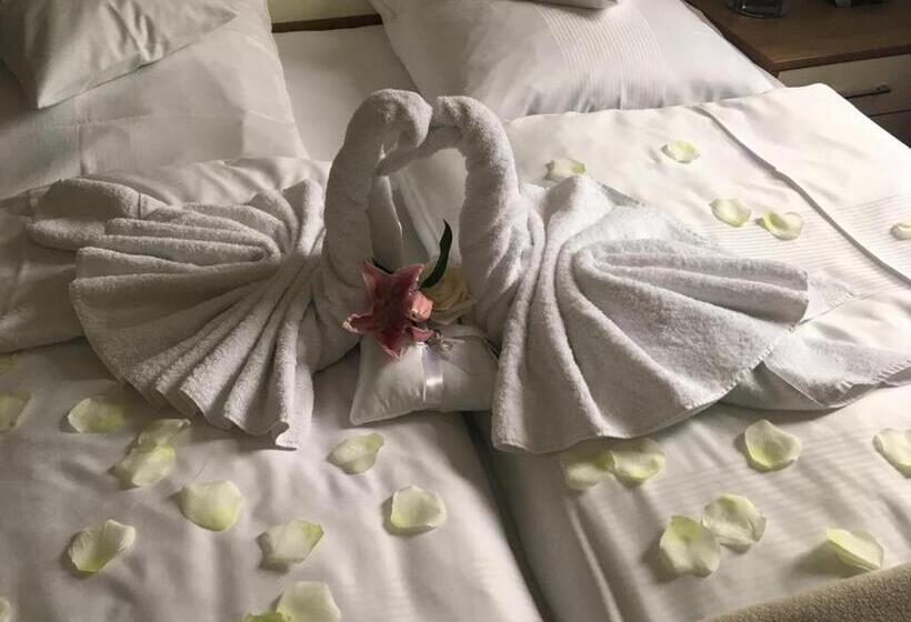 דירת חדר, Am Hof