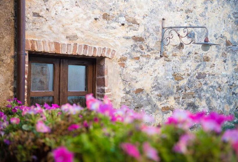 חדר סופריור, Anticos Palathos