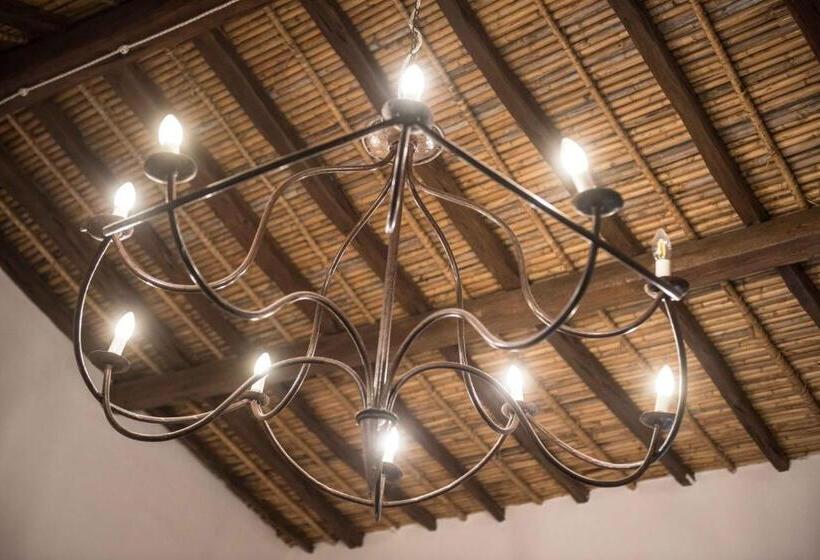 חדר סופריור, Anticos Palathos