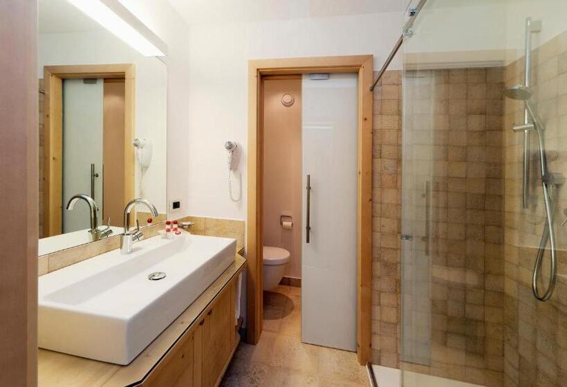 可观山景的小型套房, Ladinia