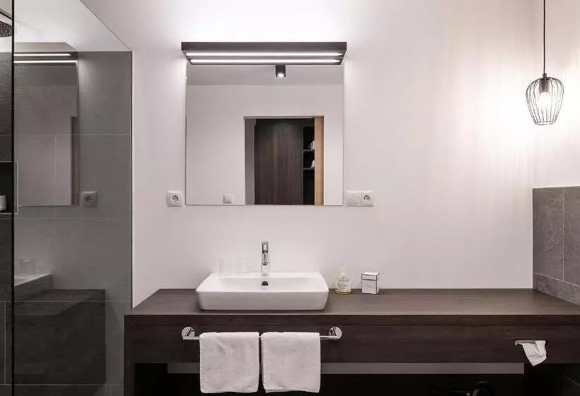 اتاق استاندارد, Oliven  & Genusshotel Hirzer