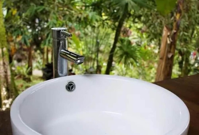 带双人床的基本房间, Cascada Elysiana