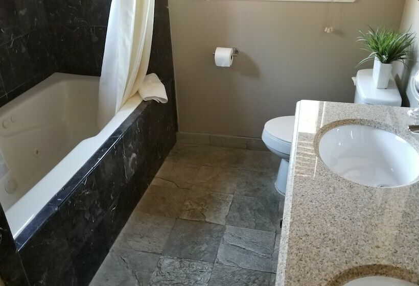 带两个卧室的顶楼公寓, Gondola Lodge