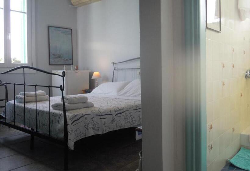 스탠다드 룸, Blue Dolphin