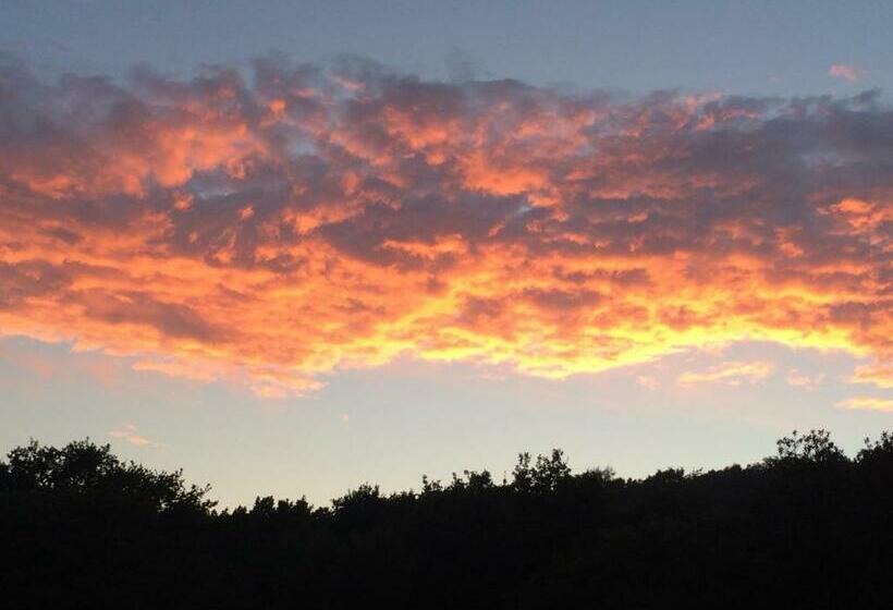 דירת חדר, Pension Hammerknuden