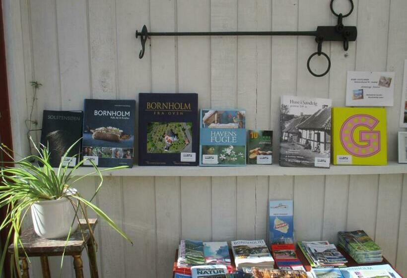 דירת חדר, Pension Hammerknuden